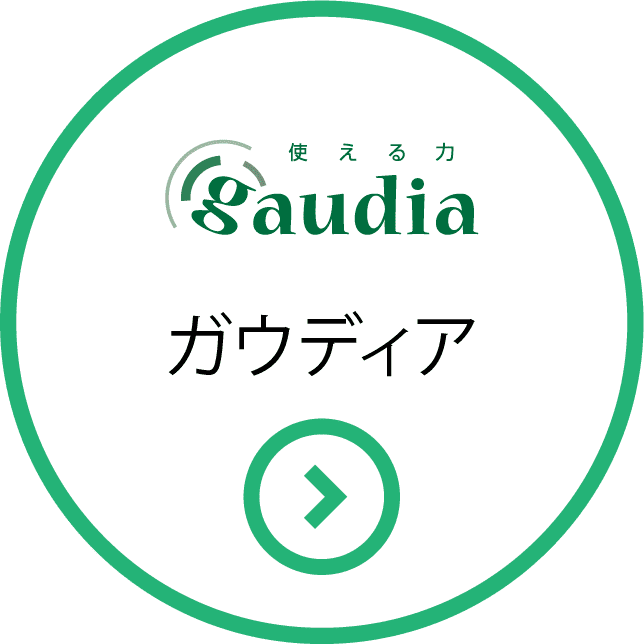 日能研関東グループ　採用 ガウディア