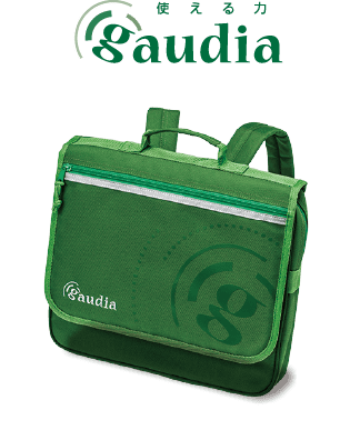 日能研関東グループ　採用 「gaudia」とは