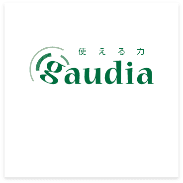 日能研関東グループ　採用 ガウディアロゴ